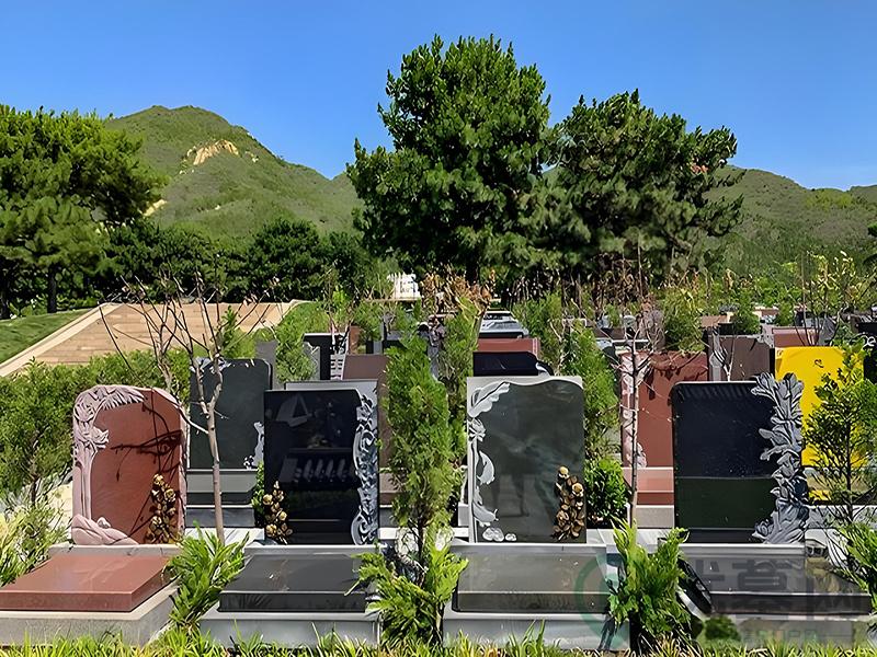 墓区图
