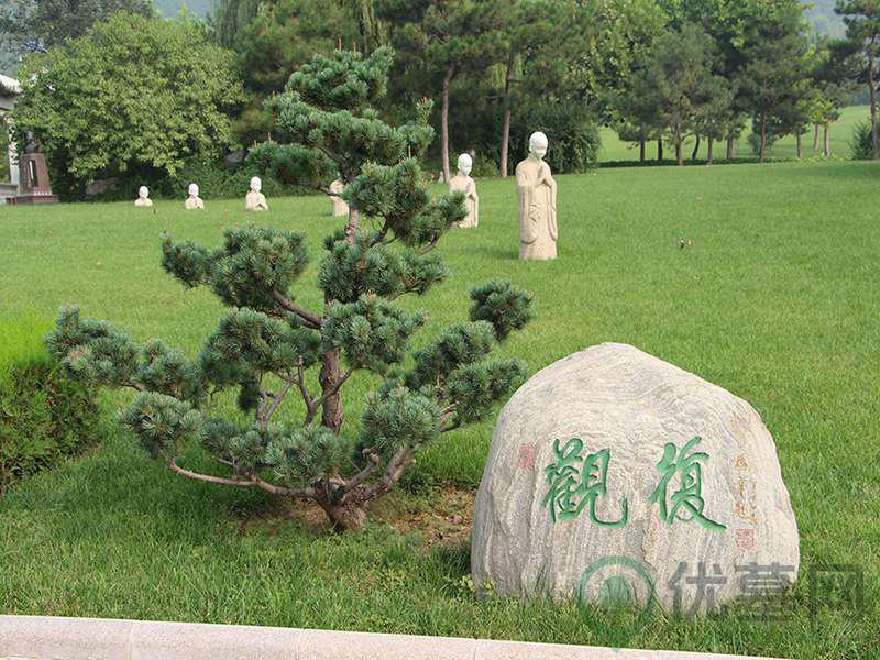 环境图