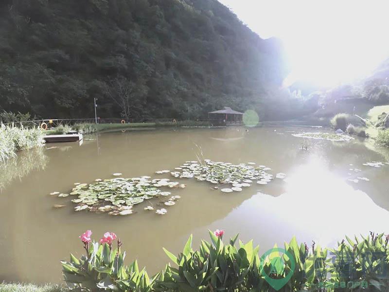 环境图