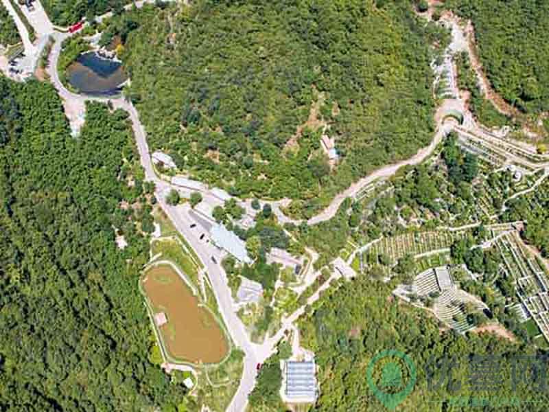 九公山长城纪念林区位图