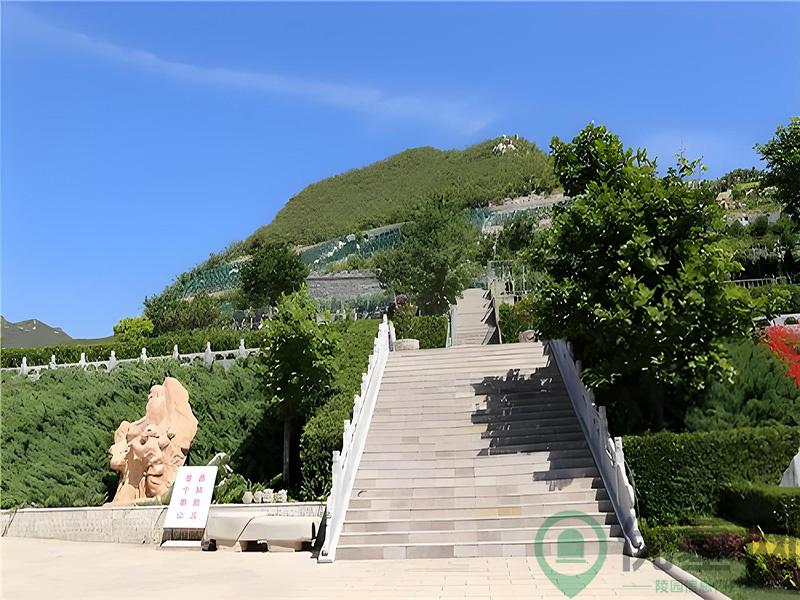 环境图
