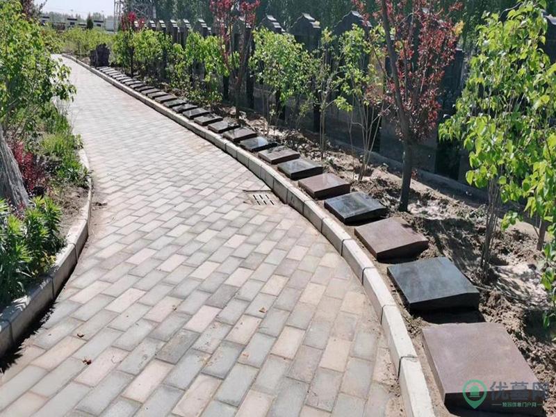 至善园公墓区位图