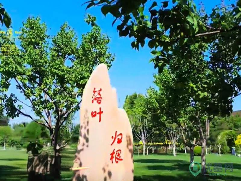环境图