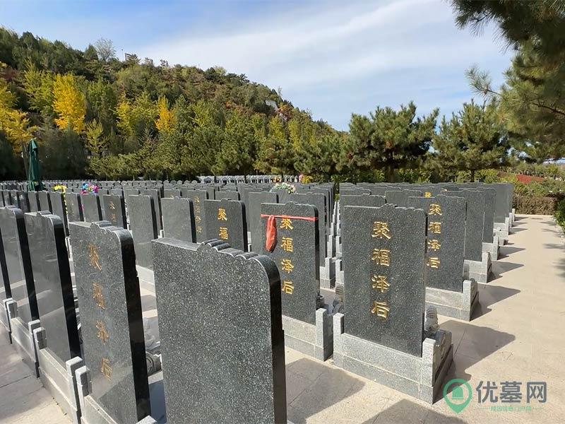 灵山宝塔陵园区位图