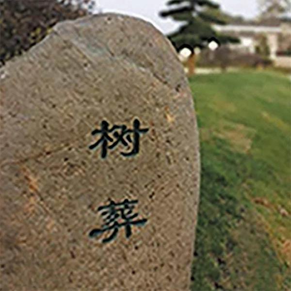 树葬