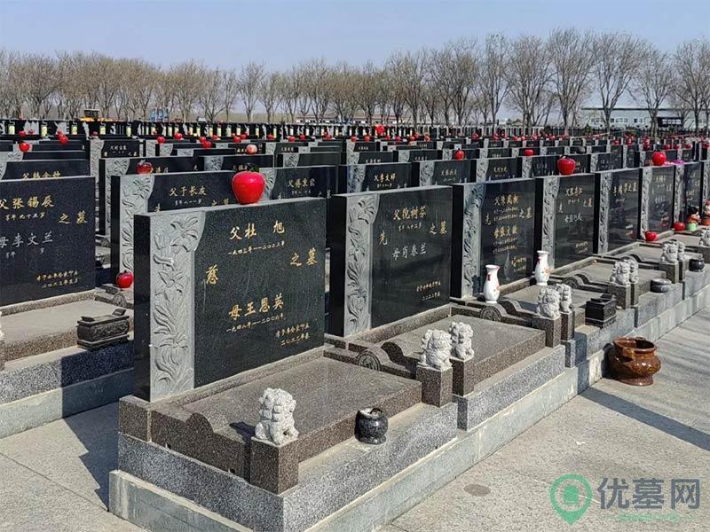 宁河永定塔陵园区位图
