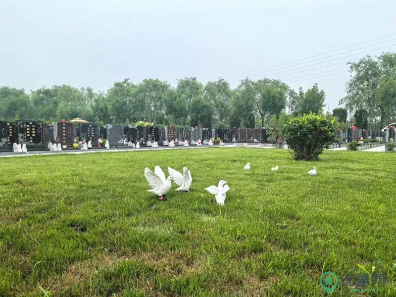 环境图
