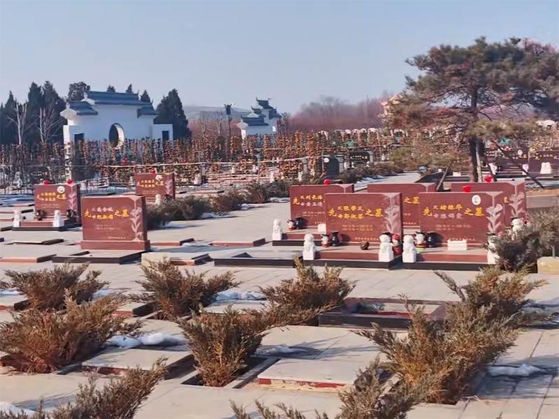 环境图