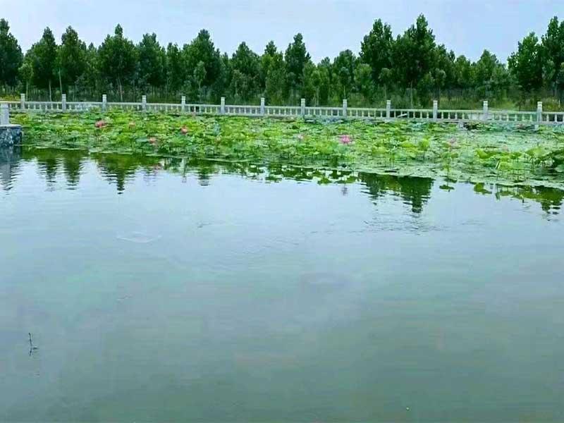 环境图